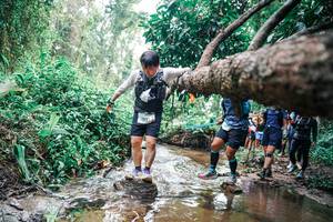 BIB: 
                            <button type="button" onclick="openModal(25375360)" class="btn btn-primary btn-sm float-right btn-popup" data-toggle="modal" data-target=".modal-high-quality">
                        <i class="fas fa-shopping-cart"></i> Add to Cart
                    </button>
                                            <button type="button" onclick="isThisMe(25375360, true)" class="btn btn-success btn-sm float-right btn-popup btn-isme hidden" data-toggle="tooltip" data-placement="bottom" title="นี่คือรูปของคุณใช่ไหม คลิกที่นี่เพื่อเอาเข้าอัลบั้ม">
                        <i class="fas fa-plus"></i> Add to album
                    </button>
                    <button type="button" onclick="isThisMe(25375360, false)" class="btn btn-warning btn-sm float-right btn-popup btn-isnotme hidden">
                        <i class="fas fa-ban"></i> Remove from album
                    </button>